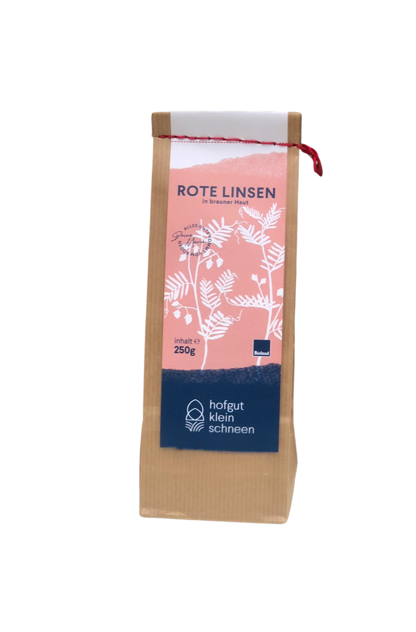 rote Linsen