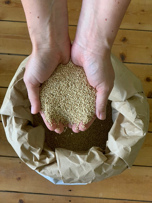 quinoa