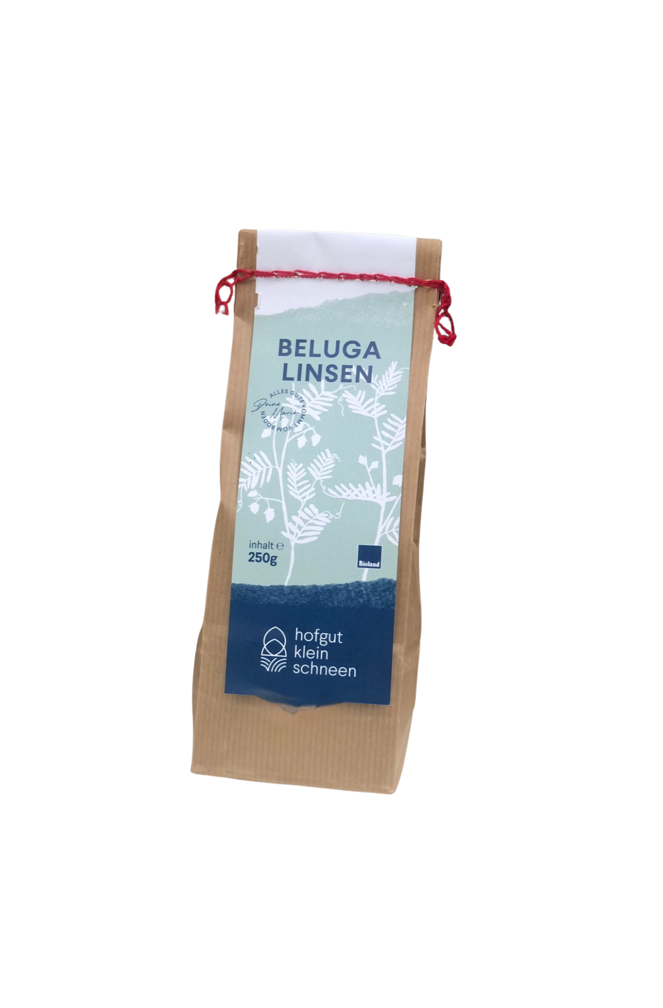 schwarze Beluga Linsen